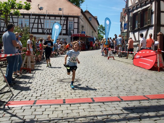 BFL 2017